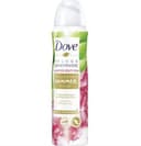 DOVE Déodorant Spray Edition Limité A L'Eau de Rose Et Aloe Vera 150 ml
