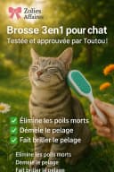 Brosse Magique ZoliePoils
