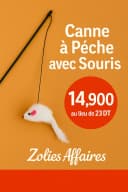 🐾 Canne à Souris  – Jeu Interactif pour Chat