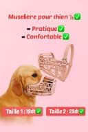 Muselière pour chien 🐕