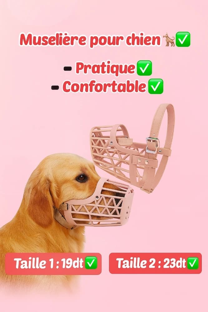 2a18950e-9a38-4df9-82d5-f7060846fa40