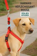 🐕‍🦺 Harnais Réfléchissant – Sécurité & Confort
