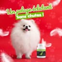 Fortican Pelage – Complément Naturel Spiruline & Ulve pour Chats & Chiens