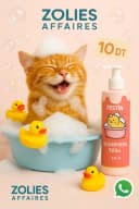 Shampoing Félin FESTIN 250 ML – Naturel & Doux 🐱