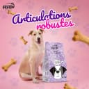 Festin Chien Adulte Poulet 4 KG