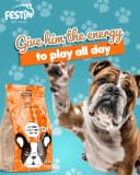 Festin Chien Adulte Mini Poulet 2 KG