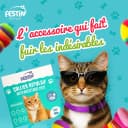 FESTIN -Collier Antiparasitaire Chat đ±đĄïž