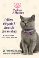 FELICAN Collier Chat Lys